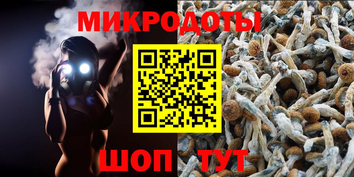 Галлюциногенные грибы Psilocybine cubensis Усинск